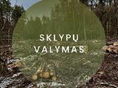 Apleistų teritorijų tvarkymas - nuotraukos Nr. 2