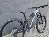 Canyon neuron Cf8