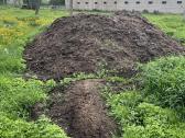 Kompastuotas durpinis kalakutų mėšlas
