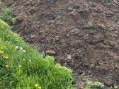 Kompastuotas durpinis kalakutų mėšlas - nuotraukos Nr. 2