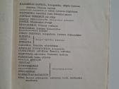 B. Sruoga. Kazimieras Sapiega. 1947 m. leidimas - nuotraukos Nr. 3