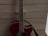 Gitara Washburn Ea18trk