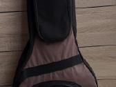 Gitara Washburn Ea18trk - nuotraukos Nr. 7
