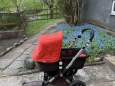 Bugaboo cameleon