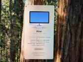 iMac 27 (2019) Intel i9, 8 Core, 40 GB RAM - nuotraukos Nr. 4