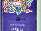 Ieškau tavo veido. Ieškančiojo pėdsakai - nuotraukos Nr. 2