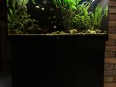 Akvariumas