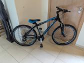 Sportinis Aliuminis dv.8-16m.paaugliams su pavarom