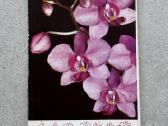 Orchidėjų atviručių rinkinys - nuotraukos Nr. 3