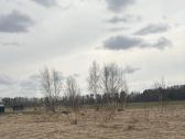 Panevėžio r. Vaivadų k. parduodamas 18 a. namų val - nuotraukos Nr. 4