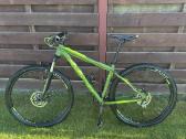 Silverback Stride Comp dviratis
