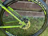 Silverback Stride Comp dviratis - nuotraukos Nr. 4