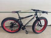 American Fat Bike Bottecchia