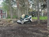 Bobcat T770paslaugos Misko freza zoles mulciavimas - nuotraukos Nr. 31