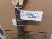 Squier Stratocaster BH 2ts - nuotraukos Nr. 2
