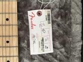 Fender American Pro Stratocaster Mn 3ts - nuotraukos Nr. 6