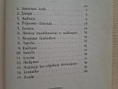 Antanas Rūkštelė. Lietuvių tautodailė. 1929 m. - nuotraukos Nr. 5