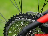 Naujas 29 Unibike Move raudonas 17col ir 19col - nuotraukos Nr. 4