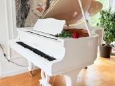 Hibridinis fortepijonas Chloris su „pianodisc“