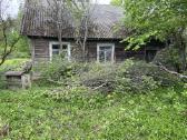 Mediena dovanu - nuotraukos Nr. 4