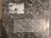 Nirvana – Nevermind / Vinyl Lp (2008) - nuotraukos Nr. 4