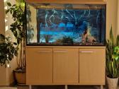 200 L akvariumas