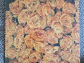 Not Waving - The Place I've Been Missing / Vinyl L
