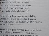 Vasaros žemė - nuotraukos Nr. 3