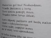 Vasaros žemė - nuotraukos Nr. 4