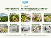 Fermentuotas Noni gėrimas - nuotraukos Nr. 9