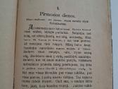 Nuostabūs skruzdės gyvenimo atsitikimai. 1920 m. - nuotraukos Nr. 4