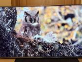 Xiaomi Mi Smart 4S 55 coliu 4k Android TV - nuotraukos Nr. 7