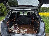 Audi Q5 - nuotraukos Nr. 9