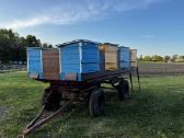 Parduodami mobilūs 8 bičių aviliai (be bičių) - nuotraukos Nr. 2