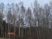 Sodyba 85 km nuo Klaipėdos Akropolio - nuotraukos Nr. 4