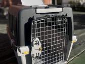 Gulliver 4 gyvūnų transportavimo boksas
