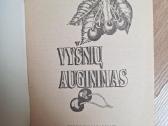 Vyšnių auginimas - nuotraukos Nr. 2