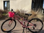 Puikus dviratis Cannondale