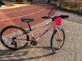 Puikus dviratis Cannondale - nuotraukos Nr. 2