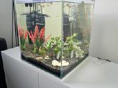 50ltr.akvariumas su žuvytėmis.