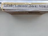 D. Didro. Vienuolė. Žakas Fatalistas ir jo ponas - nuotraukos Nr. 9
