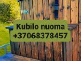 Kubilo nuoma
