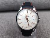 Omega Seamaster Aqua Terra - nuotraukos Nr. 2