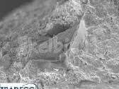 Betono kristalizacija Pc Cristal Concentrate - nuotraukos Nr. 7