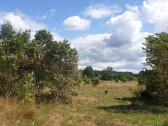 20 arų namų valdos sklypas Šventoji, Palanga - nuotraukos Nr. 2