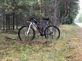 KTM XT, rockshox, tubeless. L dydis - nuotraukos Nr. 4