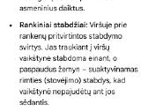 Vaikštynė - nuotraukos Nr. 3