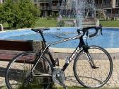 Trek Karboninis / Carbon