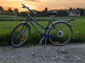 Hercules Grand tour Lx "exclusiv modell" - nuotraukos Nr. 2