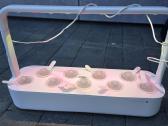 Daigyklė Click & Grow Smart Garden 9